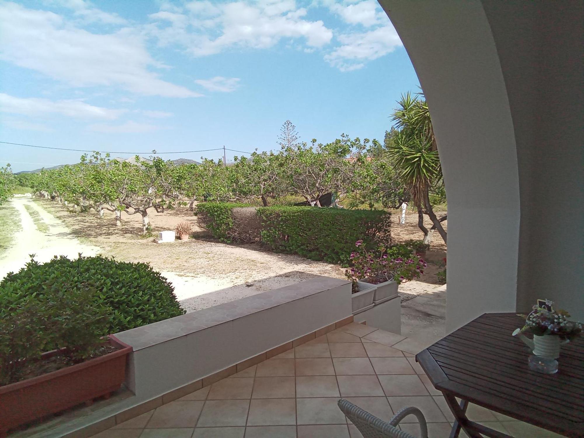 Villa Tzitzi Pistachio Khloi