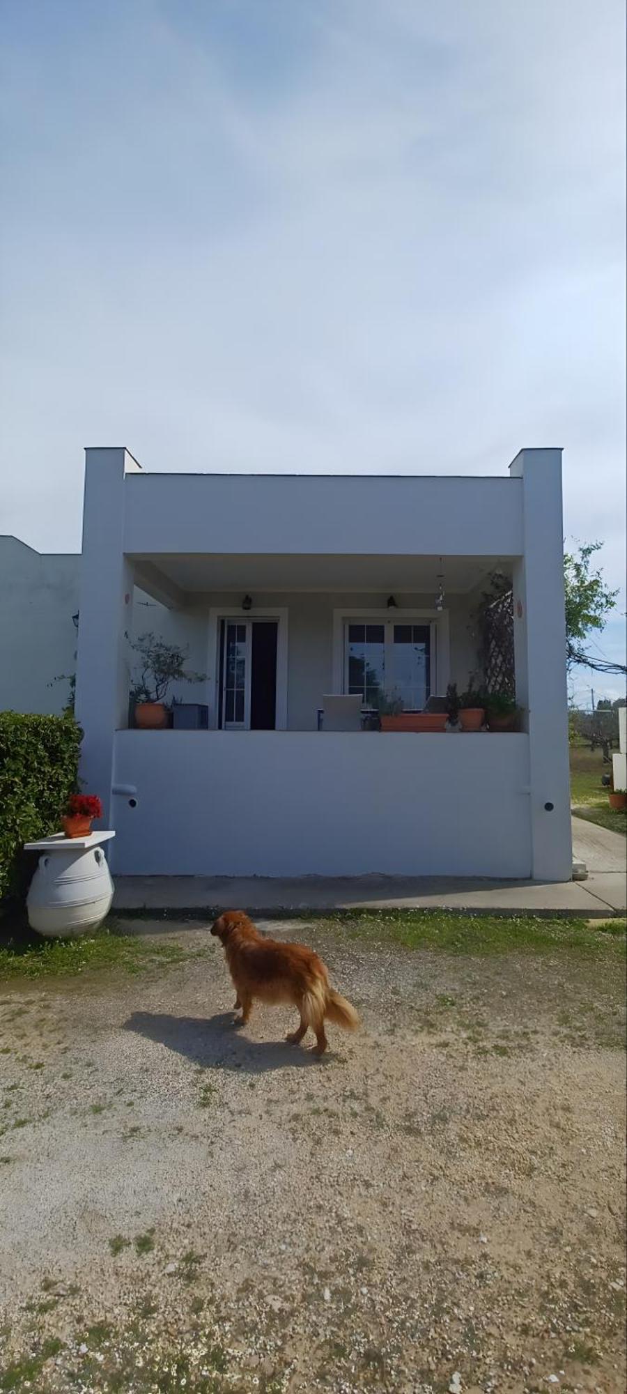 Villa Tzitzi Pistachio *